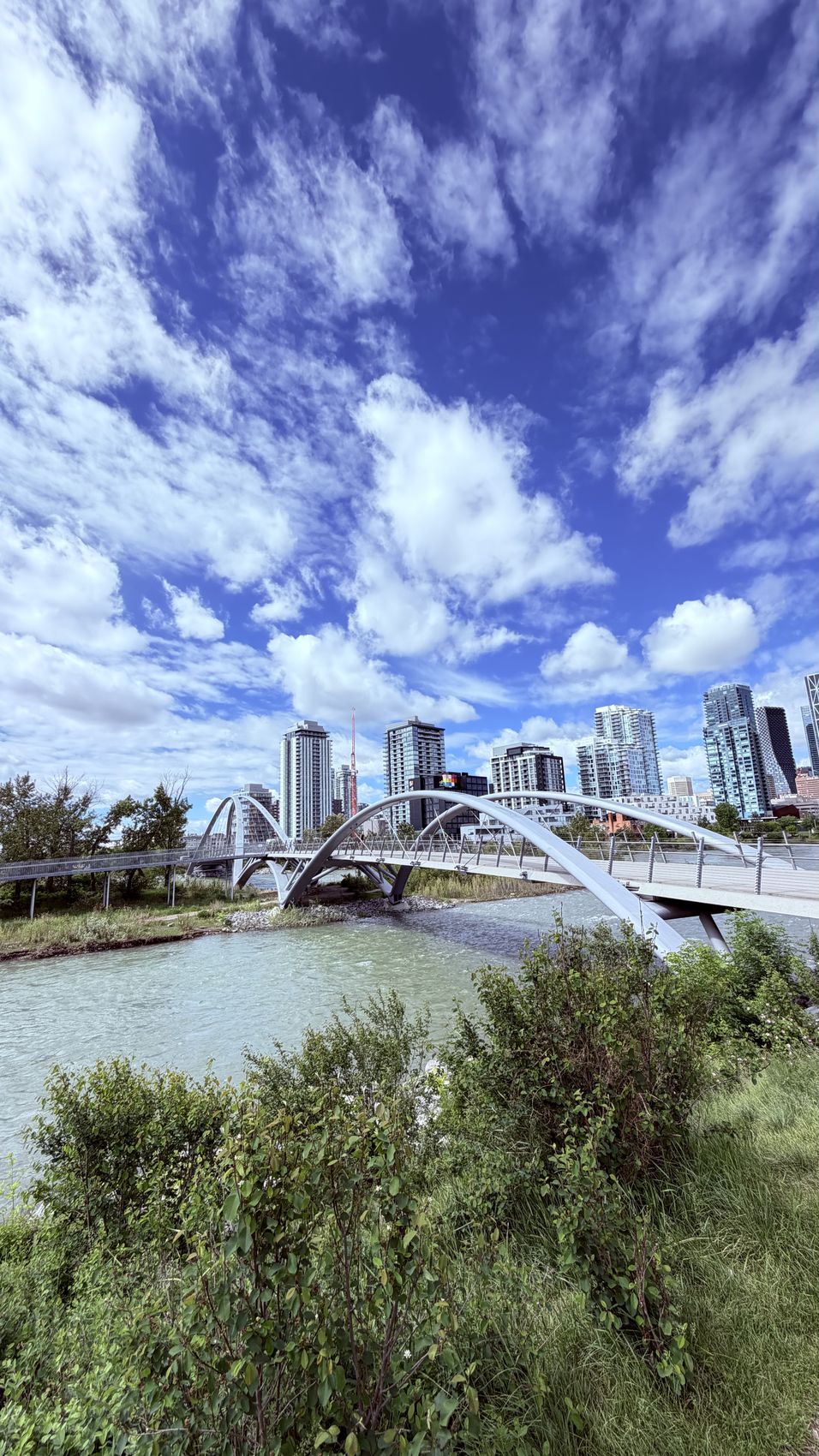 Local SEO for Clinics and Dental Offices in Alberta